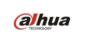 大華股份 大華股份